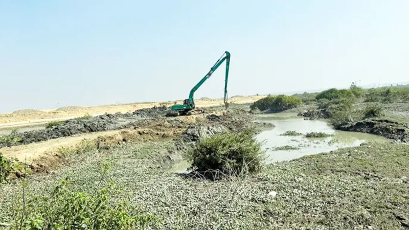 কাউখালী চরে সরকারি জমির মাটি কাটায় দুই ব্যক্তিকে লাখ টাকা জরিমানা