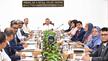 পরিবেশ রক্ষায় সবাইকে এগিয়ে আসার আহ্বান প্রধানমন্ত্রীর