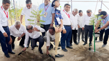 ঢাকা-আরিচা মহাসড়কে সবুজায়ন কর্মসূচির উদ্বোধন করলেন প্রধানমন্ত্রী