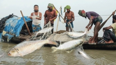 চার জেলায় ৪৭ কোটি টাকার প্রকল্প, বাড়বে মাছের উৎপাদন ও জেলেদের আয়