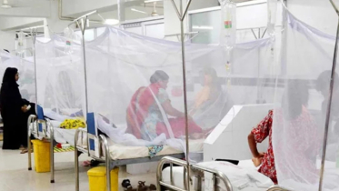 ডেঙ্গুতে মৃত্যু আরও চারজন  