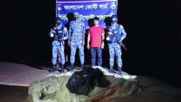 রাঙ্গাবালীতে নিষেধাজ্ঞা অমান্য করে ইলিশ শিকার, চারজনের কারাদণ্ড 