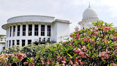 আদালতের নির্দেশ ছাড়া একাধিক মামলার সাজা একই সঙ্গে চলবে না: হাইকোর