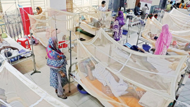 ডেঙ্গুতে ৬ জনের মৃত্যু